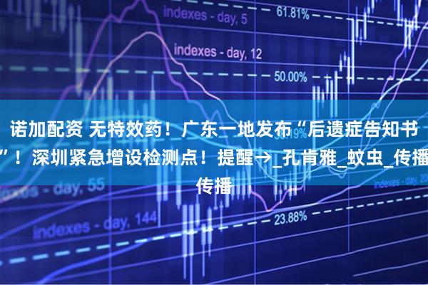 诺加配资 无特效药！广东一地发布“后遗症告知书”！深圳紧急增设检测点！提醒→_孔肯雅_蚊虫_传播