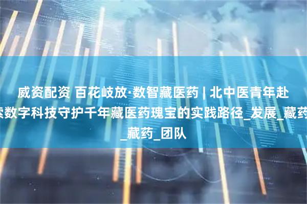 威资配资 百花岐放·数智藏医药 | 北中医青年赴藏探索数字科技守护千年藏医药瑰宝的实践路径_发展_藏药_团队