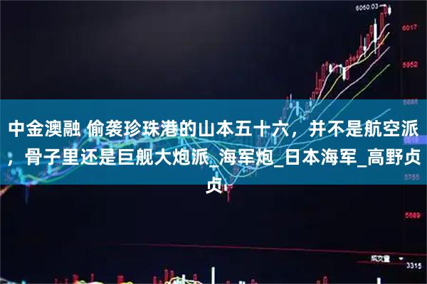 中金澳融 偷袭珍珠港的山本五十六，并不是航空派，骨子里还是巨舰大炮派_海军炮_日本海军_高野贞