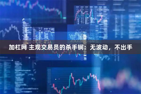 加杠网 主观交易员的杀手锏：无波动，不出手