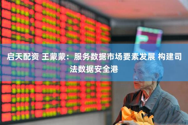 启天配资 王蒙蒙：服务数据市场要素发展 构建司法数据安全港