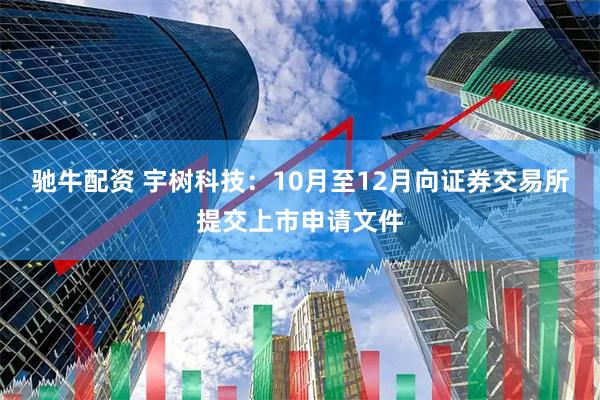 驰牛配资 宇树科技：10月至12月向证券交易所提交上市申请文件